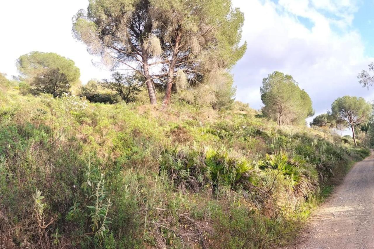 Finca Riodiel Gibraleón Zewnętrze zdjęcie